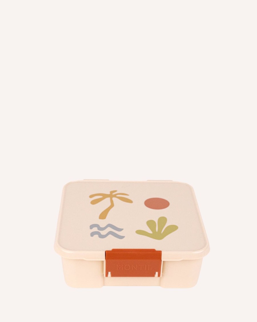 Lunch MontiiCo Medium Lunch Boxes | Montiico Bento Five Lunch Box - Endless Summer